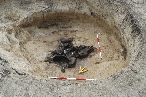 Obr. č. 4 – Objekt s nálezem skeletu telete patřící do kultury KNP, foto: Švácha.